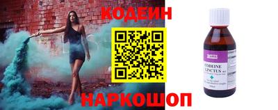 крисы Пенза