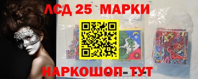 крисы Пенза