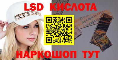 крисы Пенза
