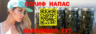 крисы Пенза