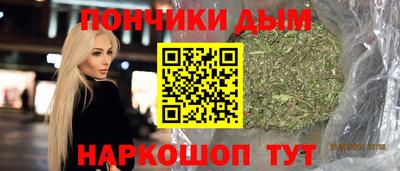 крисы Пенза