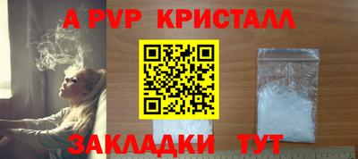 крисы Пенза