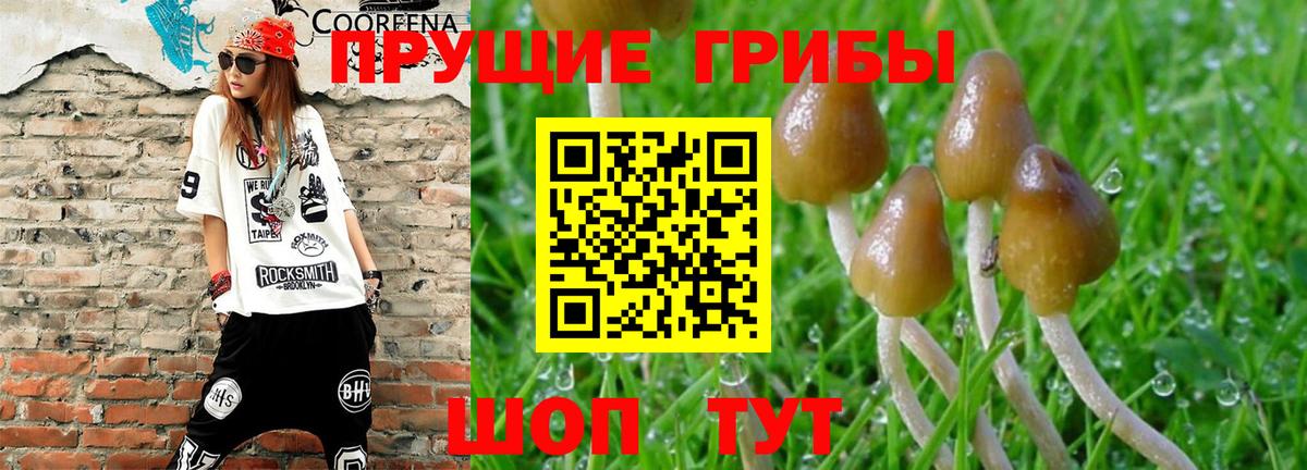 Псилоцибиновые грибы MAGIC MUSHROOMS Соль-Илецк