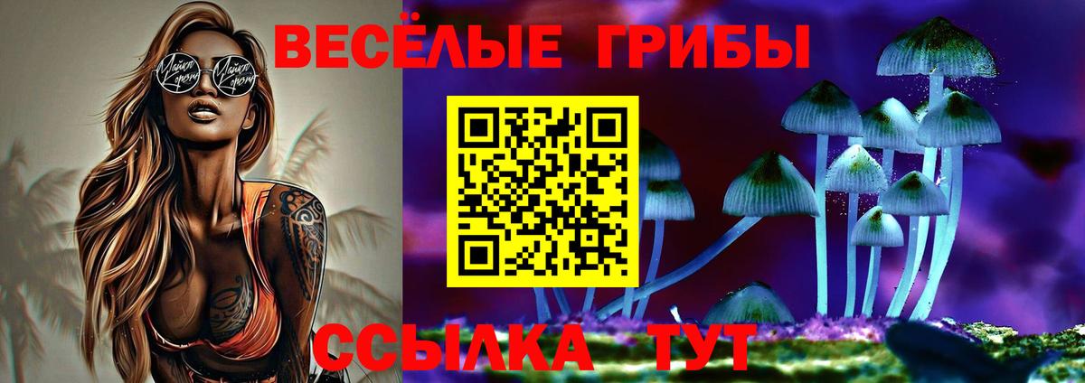 Галлюциногенные грибы Magic Shrooms  Вход с VPN  Соль-Илецк  Псилоцибиновые грибы GOLDEN TEACHER 